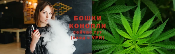 сатива Орехово-Зуево