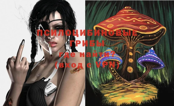 соль ск Новый Уренгой