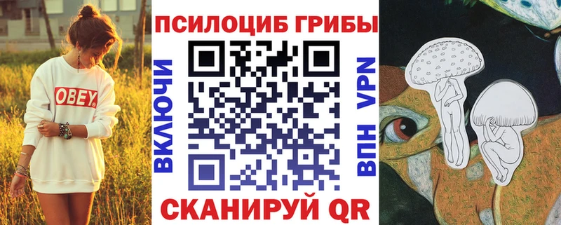Галлюциногенные грибы Psilocybine cubensis  наркотики  Александровск-Сахалинский 